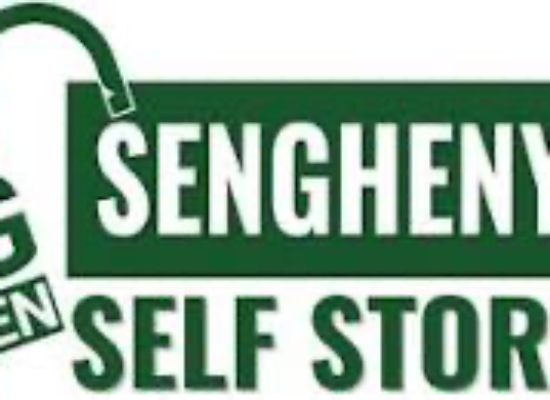 Big Green Self Storage Senghenydd a storage company in The Timber Yard, Senghenydd, Caerphilly, Mid Glamorgan